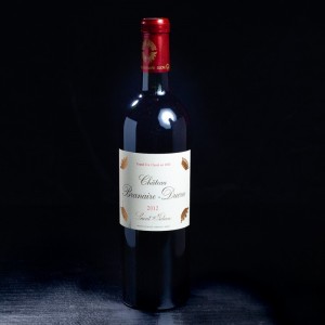 NPT - Vin rouge Saint-Julien 2012 Château Branaire Ducru 75cl  A NE PAS TOUCHER