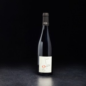 Vin rouge Touraine Gamay 2019 Domaine Octavie Oisly 75cl  Vins rouges